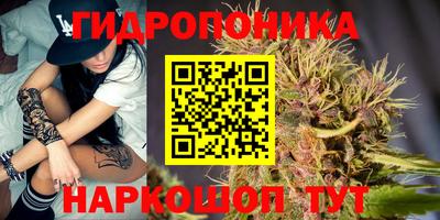 шишки Конаково